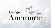 Lounge Anemoneの求人画像【ジーチャンネル】
