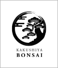 ジーチャンネル|ガールズバー|群馬県 - 高崎市|KAKUSHIYA BONSAIのリスト画像