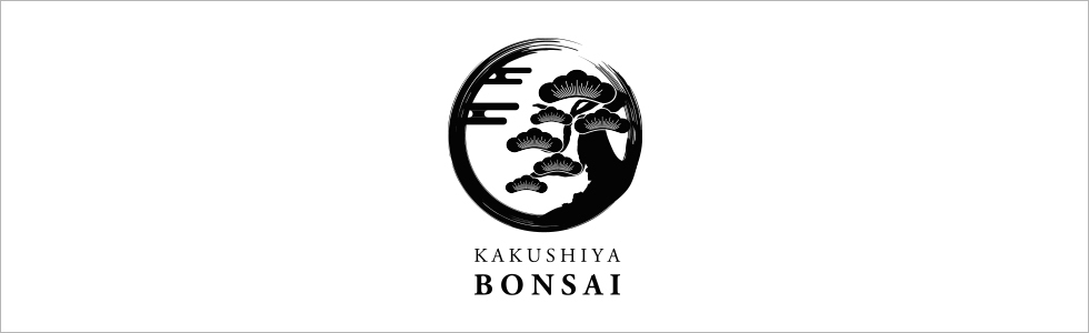 ガールズバー-群馬県 - 高崎市-KAKUSHIYA BONSAI【ジーチャンネル】