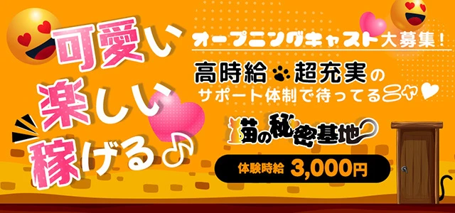 伊勢崎市のガールズバー-猫の秘密基地の求人画像【ジーチャンネル】