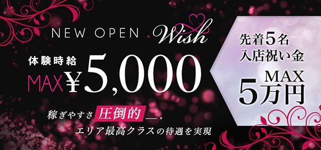 栃木県 - 佐野市のキャバクラ-Wishの求人画像【ジーチャンネル】