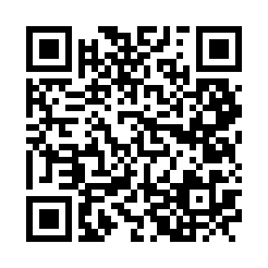 太田市のパブ・スナック-すなっく 夢叶【ジーチャンネル】